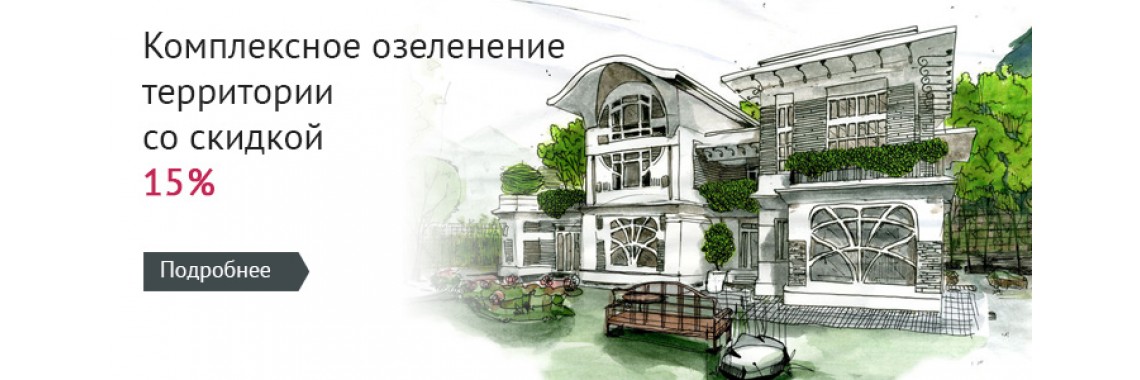 дизайн участка